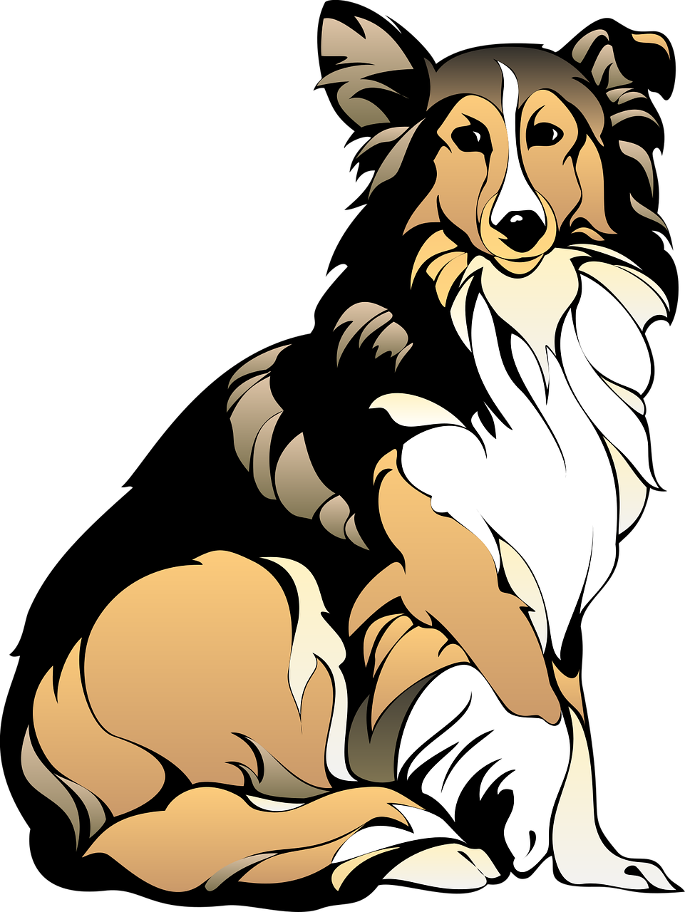 Illustration of an Australian Shepherd dog - one of the many breeds we professionally groom