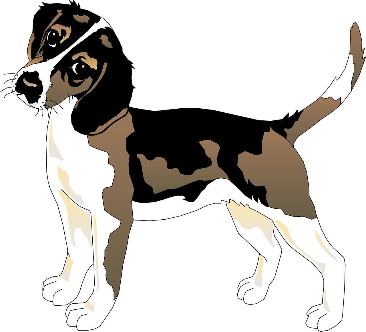 Beagle hound illustration - representing our professional dog grooming services available in your area